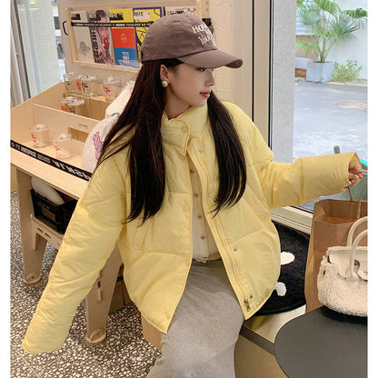 Cross-border down cotton clothes women's 2023 new Korean version small design bread clothes milk blue short jacket