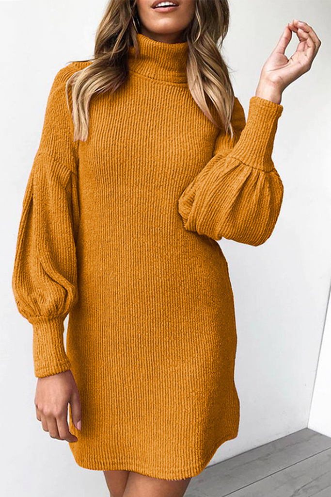 sealbeer Casual Solid Patchwork Half A Turtleneck Straight Dresses