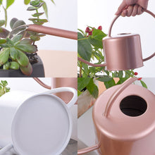 Load image into Gallery viewer, 1.3L Watering Can Metal Garden Stainless Steel for Home Flower Water Bottle Easy Use Handle for Watering Plant Long Mouth