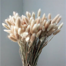Load image into Gallery viewer, Natural Dried Flowers Lagurus Ovatus Rabbit Bunny Tail Grass Bunch Real Flower Bouquet Pampas Grass for Home Wedding Decoration