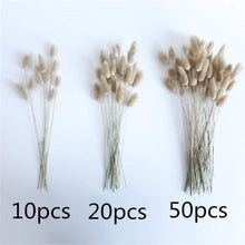 Load image into Gallery viewer, Natural Dried Flowers Lagurus Ovatus Rabbit Bunny Tail Grass Bunch Real Flower Bouquet Pampas Grass for Home Wedding Decoration