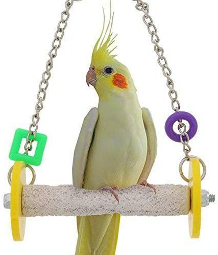 Bird Hanging Swing Toy Parrot Grinding Claws Standing Bar for Parakeet Cockatiel Finch Lovebird Budgie Conure (Random Color)