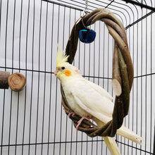 Load image into Gallery viewer, Parrot Ring Bird Swing Apple Branch Braided Ring Bird Stand Rattan Ring Biting Toy Bird Cage