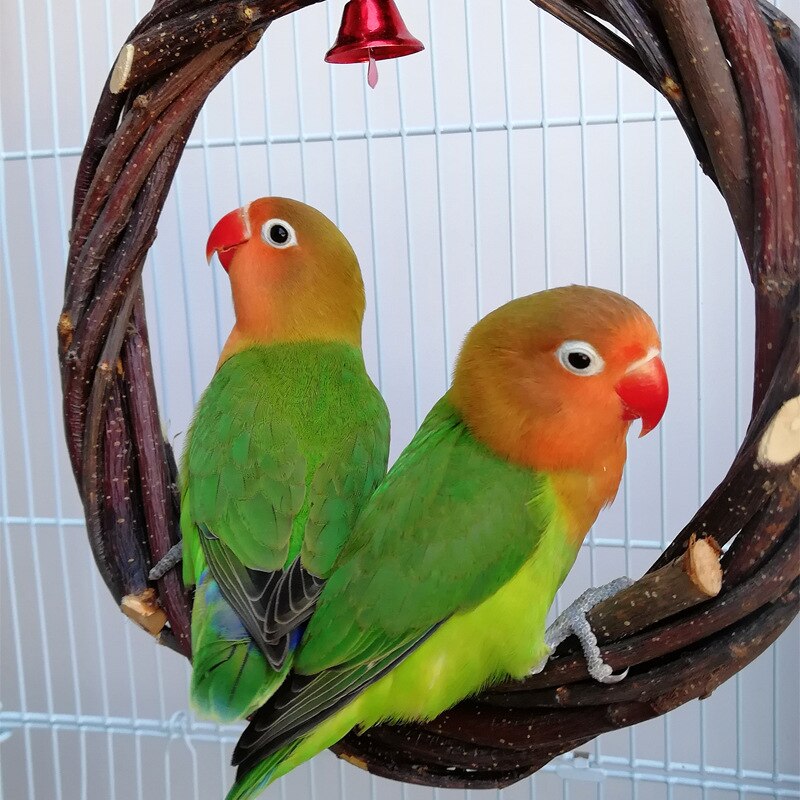 Parrot Ring Bird Swing Apple Branch Braided Ring Bird Stand Rattan Ring Biting Toy Bird Cage