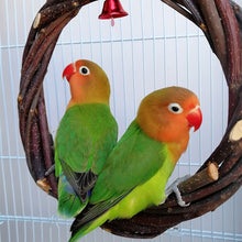 Load image into Gallery viewer, Parrot Ring Bird Swing Apple Branch Braided Ring Bird Stand Rattan Ring Biting Toy Bird Cage
