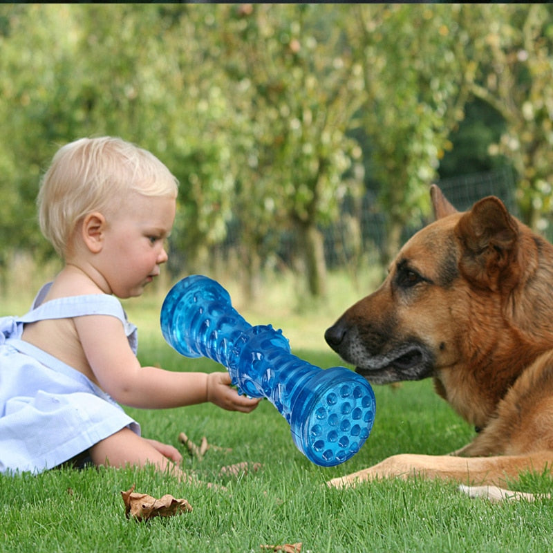Dog Toothbrush Bone Sturdy Dog Toy Interactive Puppy Game Toy Dog Bone Rubber Resistant Bite Resistant Pet Toy Puppy Chew Toy
