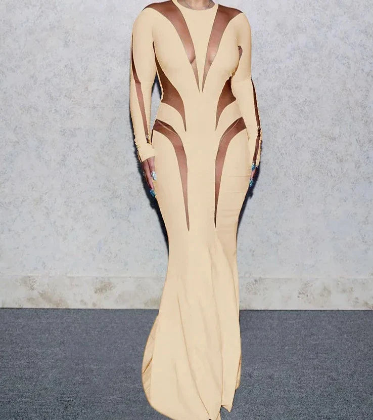 sealbeer A&A Luxe Long Sleeve Elegant Mesh Insert Bodycon Maxi dress